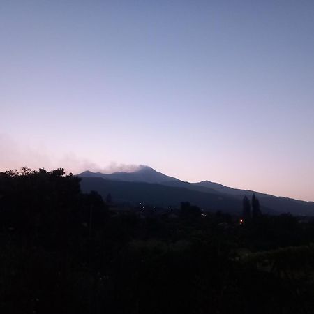 Etna Green House Villa Zafferana Etnea Eksteriør bilde