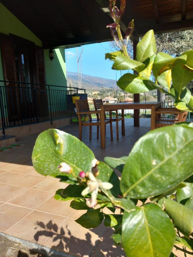 Etna Green House Villa Zafferana Etnea Eksteriør bilde