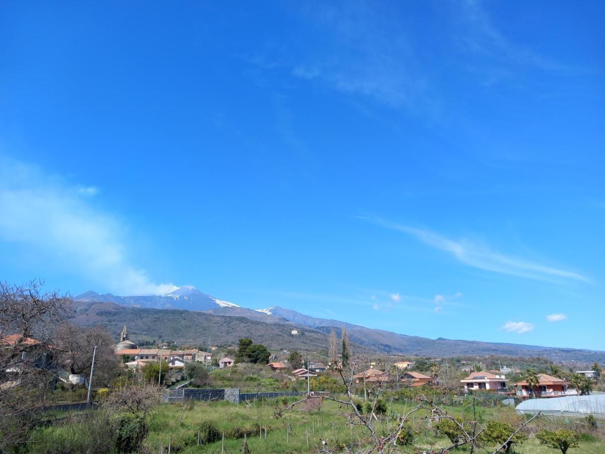 Etna Green House Villa Zafferana Etnea Eksteriør bilde