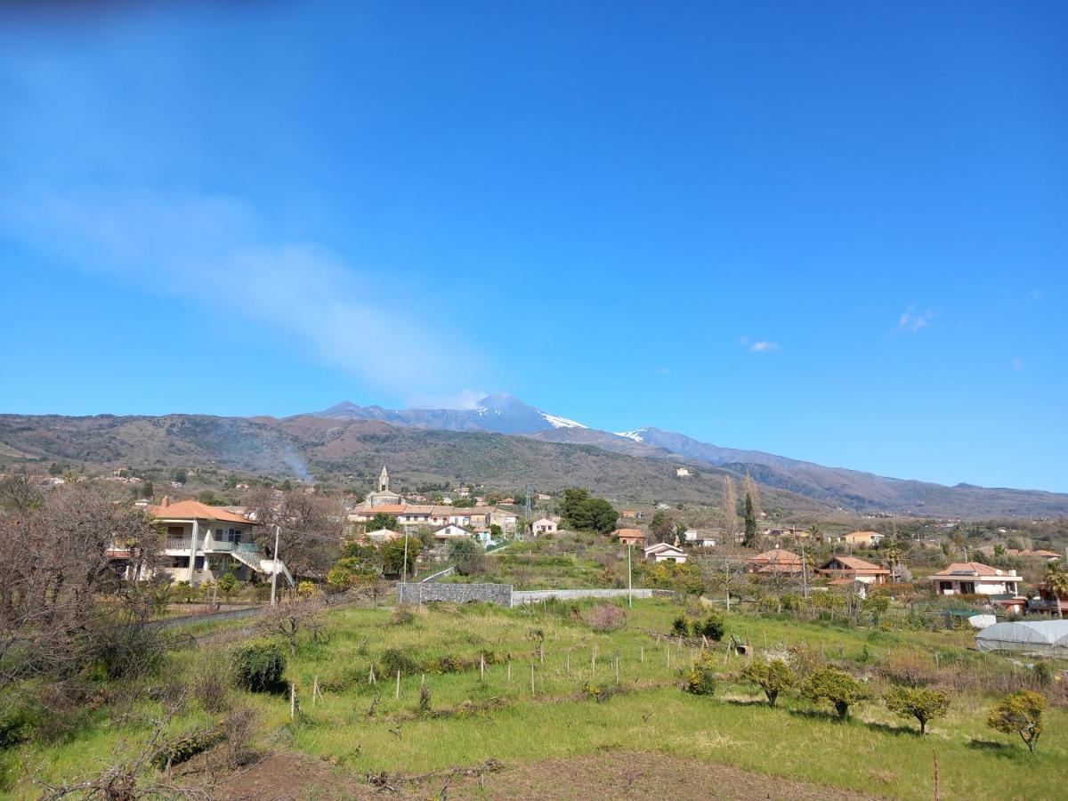 Etna Green House Villa Zafferana Etnea Eksteriør bilde