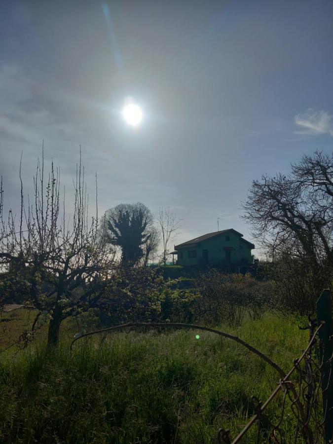 Etna Green House Villa Zafferana Etnea Eksteriør bilde