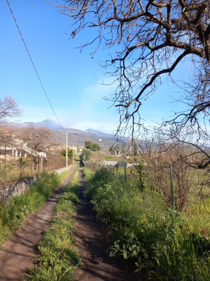 Etna Green House Villa Zafferana Etnea Eksteriør bilde