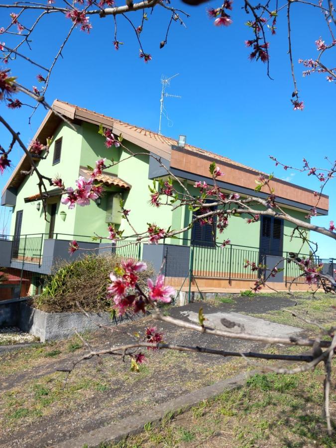 Etna Green House Villa Zafferana Etnea Eksteriør bilde