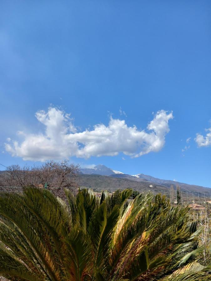 Etna Green House Villa Zafferana Etnea Eksteriør bilde