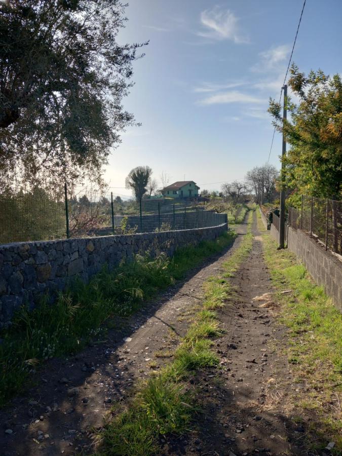 Etna Green House Villa Zafferana Etnea Eksteriør bilde