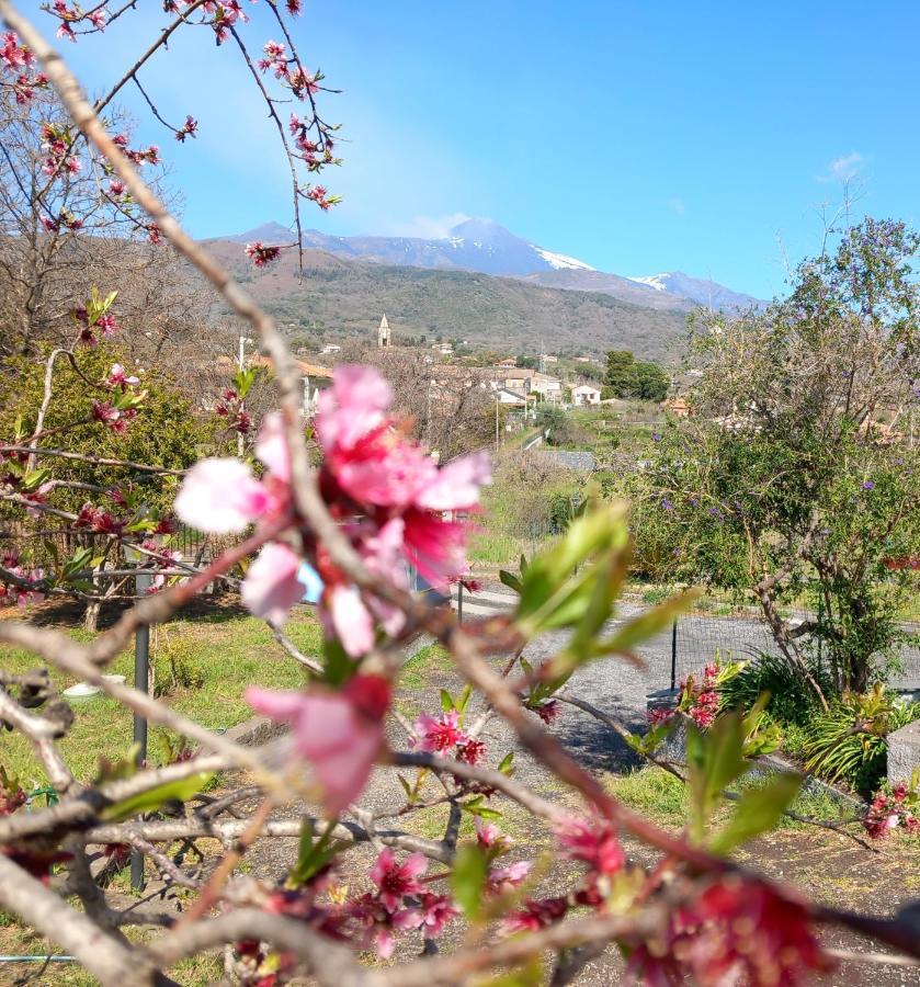 Etna Green House Villa Zafferana Etnea Eksteriør bilde