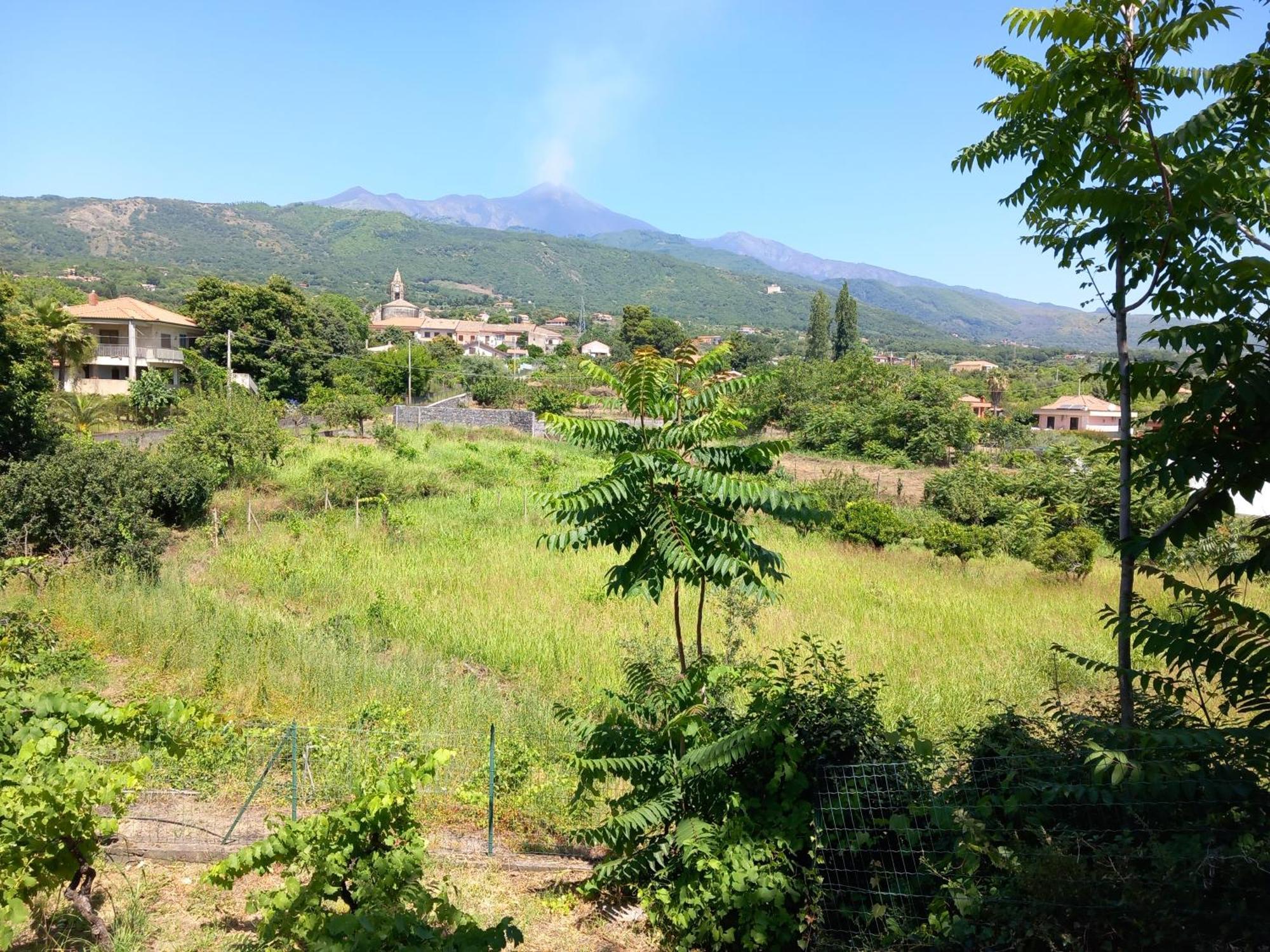 Etna Green House Villa Zafferana Etnea Eksteriør bilde