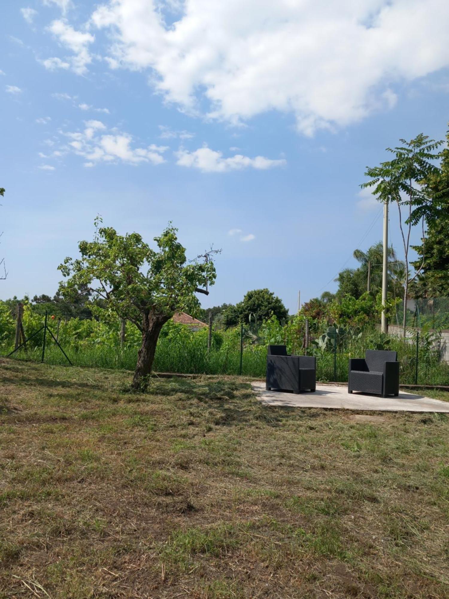 Etna Green House Villa Zafferana Etnea Eksteriør bilde